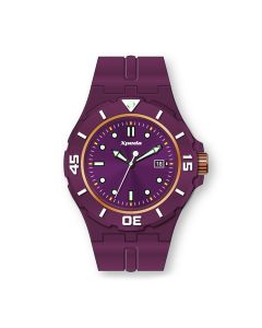 Ice Cream African Violet